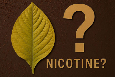 Was ist eigentlich Nikotin, dass im Tabak vorkommt?